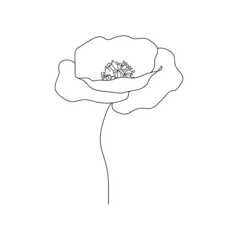 Poppies flower continuous line drawing a... | Premium Vector #Freepik #vector #line-drawing #outline #line-illustration #plant-outline Poppy Flower Outline, Plant Outline, Line Drawing Abstract, Poppies Flower, Line Art Flowers, Flower Outline, Art Pics, Continuous Line Drawing, Continuous Line