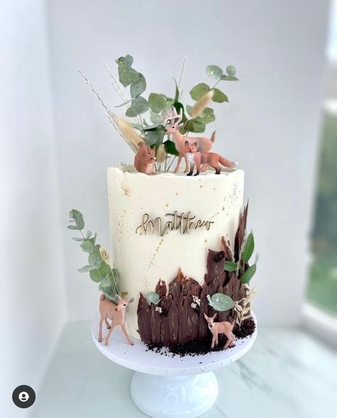 Woodland Theme Cake, Woodland Birthday Cake, Woodland Cake, Wood Cake, Forest Cake, Animal Cake, Instagram C, First Birthday Cakes, Baby Shower Woodland