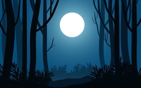 Night landscape in forest with tree silh... | Premium Vector #Freepik #vector #tree #light #nature #mountain Night Forest Illustration, Dark Forest Illustration, Woods Silhouette, Night Cartoon, Trees At Night, Birch Art, Forest Vector, Jungle Background, Forest Cartoon