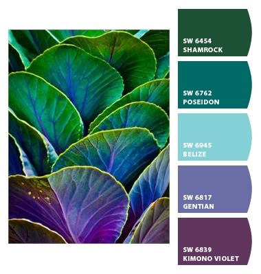 Color Schemes Colour Palettes, Bedroom Paint Colors, Color Palate, Design Seeds, Color Palette Design, Bedroom Paint, Color Stories, Angkor, Colour Schemes