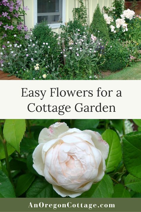 Front Cottage Landscaping, Cottage Style Flower Beds, Cottage Garden Plans Layout, Front Yard Rose Garden, Front Yard Roses Landscaping Ideas, Rose Garden Design Layout Flower Beds, Rose Garden Layout, English Cottage Garden Design Layout, Cottage Landscaping Front Yard