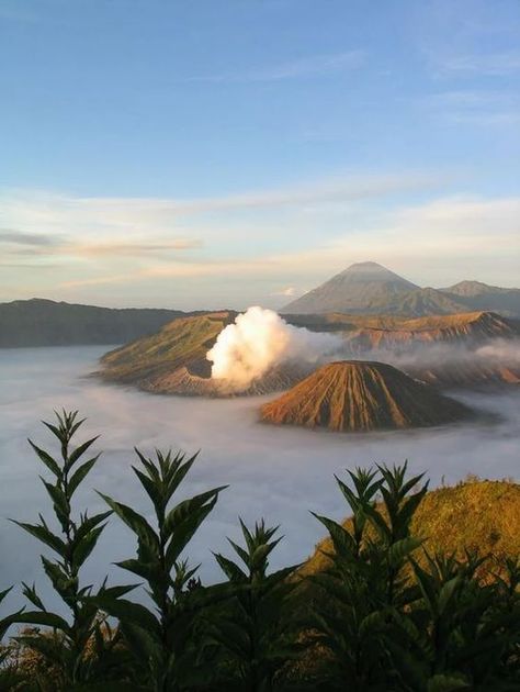 East Java, Indonesia Mount Bromo, Asia Tenggara, East Java, Pamukkale, Padang, Lombok, Ubud, Asia Travel, Places Around The World