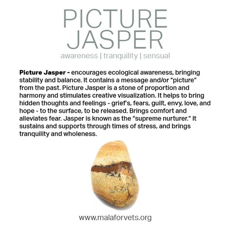 Picture Jasper Jasper Stone Meaning, Witch Stones, Stone Quotes, Jasper Meaning, Lower Chakras, Creative Visualization, Red Tiger, Crystals Healing Properties, Gemstone Meanings