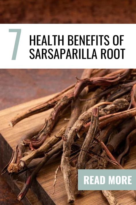 Sarsaparilla is a plant with a rich history of use in traditional medicine across various cultures. Known primarily for its beneficial root, sarsaparilla has carved a niche for itself as a potent herbal remedy. Benefits Of Sarsaparilla, Sarsaparilla Root Benefits, Sarsaparilla Plant, Sarsaparilla Benefits, Candida Cleanse, Vegan Supplements, Women Supplements, Holistic Care, Kidney Health