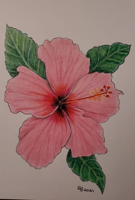 Coloring Flowers With Markers, Flower Drawing Colourful, Coloured Pencil Art Ideas, Colored Flower Drawing, Flower Drawing Realistic Colored Pencils, Colored Pencil Art Easy Ideas Flower, Colored Pencil Flowers Simple, Flower Drawing With Color Pencil, Flower Drawings Color