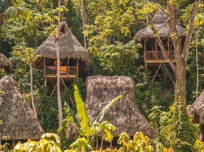 Eco Village Community, Bamboo Resort, Tree House Village, Republic Dominican, Eco Village, Bamboo Building, Jungle House, House Village, Eco Hotel