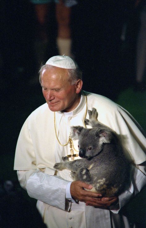 Pope John Paul II holding a koala, Brisbane, 25 November 1986. Saint Pope John Paul Ii, Paul Meme, Saint John Paul Ii, Pope Saint John Paul Ii, Benedict Xvi, Christian Content, Catholic Decor, St John Paul Ii, Juan Pablo Ii