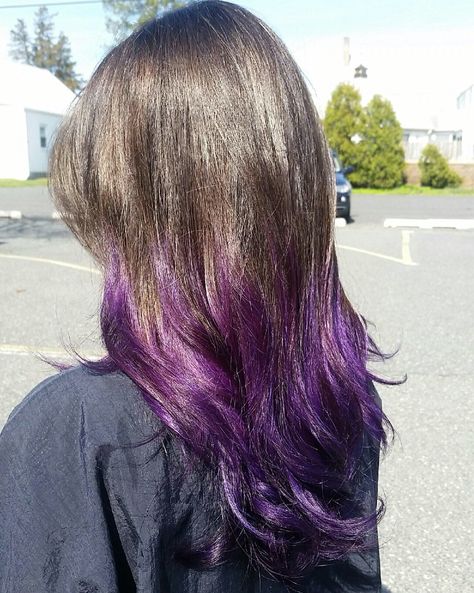 Dark brown. Purple ombré Brown Hair Ombre Purple, Plum Purple Highlights, Brown To Purple Ombre, Brown Hair Ombre, Faded Purple Hair, Best Purple Hair Dye, 2017 Hairstyles, Purple Brown Hair, Dark Hair Dye