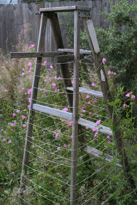 Ladders In The Garden, Ladder Garden, Ladder Planter, Garden Ladder, Garden Vines, Garden Junk, Halloween Garden, Garden Decor Ideas, Wooden Ladder