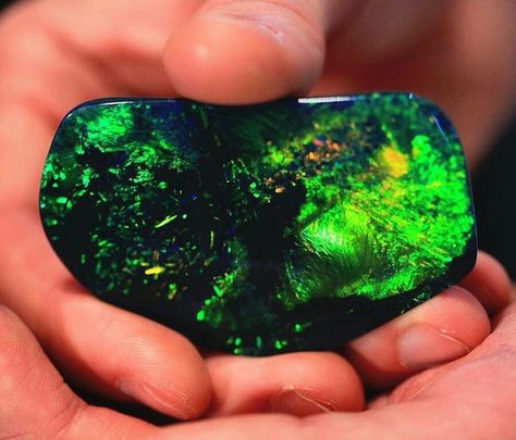 Lightning Ridge Black Opal from Australia Raw Gemstones Rocks, Lightning Ridge Black Opal, Expensive Stones, Lightning Ridge Opal, Lightning Ridge, Rare Gemstones, Rock Collection, Rock Hounding, Australian Opal