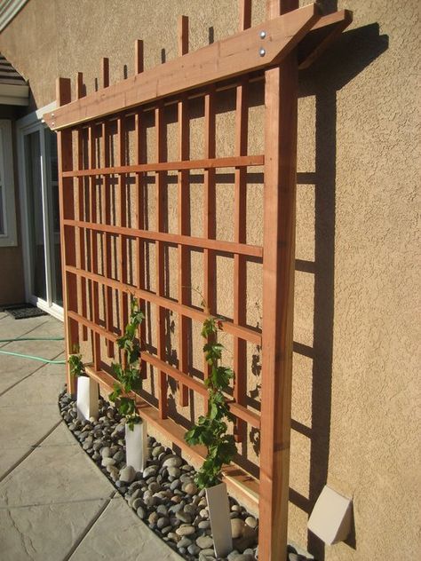 types of trellises | Trellis is a simple latticework structure that may be free standing ... Narrow Patio Ideas, Japanese Gardens Design Ideas, Small Pergola, Small Japanese Garden, Diy Garden Trellis, Wooden Trellis, Diy Trellis, Garden Arbor, Japanese Garden Design