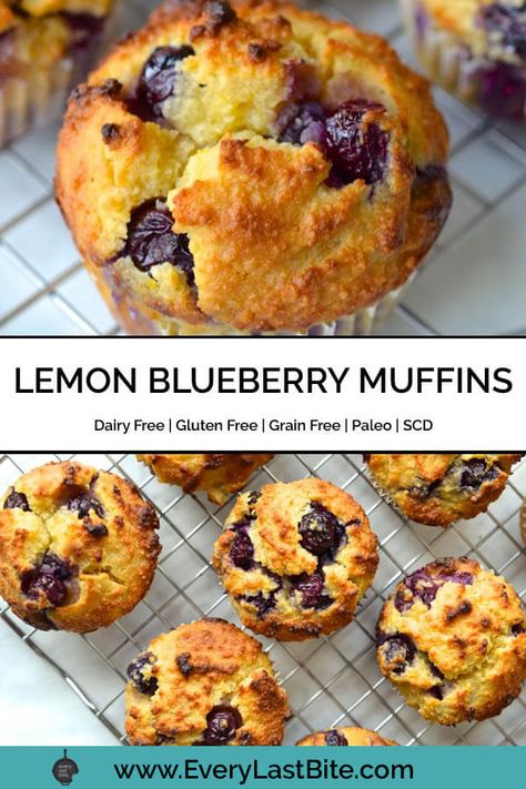 These Paleo Lemon Blueberry Muffins are so moist and flavour. The batter has a zesty lemon juice kick and is loaded with juicy blueberries. These are great grain free muffins to enjoy as a quick healthy snack or for breakfast on the go. They are Grain Free, Gluten Free, Dairy Free, Specific Carbohydrate Diet Legal and Paleo.