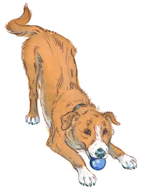 Drawing of a dog in a play bow pose looking happy and ready to play Dog Play Bow Drawing, Playful Dog Drawing, Dogs Playing Illustration, Playful Dog Pose, Dogs Playing Drawing, Dog Poses Drawing Reference, Dog Playing Drawing, Dog Reference Poses, Happy Dog Illustration