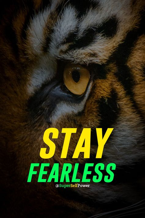 Be Fearless Attitude Motivational Quotes, Attitude Quotes In English, Improvement Quotes, Cute Quote, Self Improvement Quotes, Success In Life, Only Live Once, Be Fearless, Quotes For Success