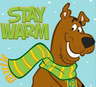 Winter Quote, Quotes Winter, Eeyore Pictures, Scooby Doo Pictures, Scooby Doo Mystery Inc, Paris Disneyland, Scooby Doo Images, Scooby Doo Mystery Incorporated, Shaggy And Scooby