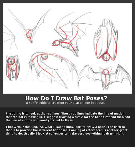 Vampire Bat Anatomy, How To Draw Bats Step By Step, Bat Drawing Tutorial, Bats Flying Drawing, How To Draw Bat Wings, How To Draw Bats, Crowley Reference, Bat Drawing Reference, Bat Wings Reference