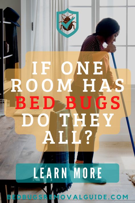 Bed Bugs Essential Oils, What Kills Bed Bugs, Bedbugs Removal, Get Rid Of Bed Bugs, Bed Bug Spray, Bug Spray Recipe, Kill Bed Bugs, Penthouse Living, Rid Of Bed Bugs