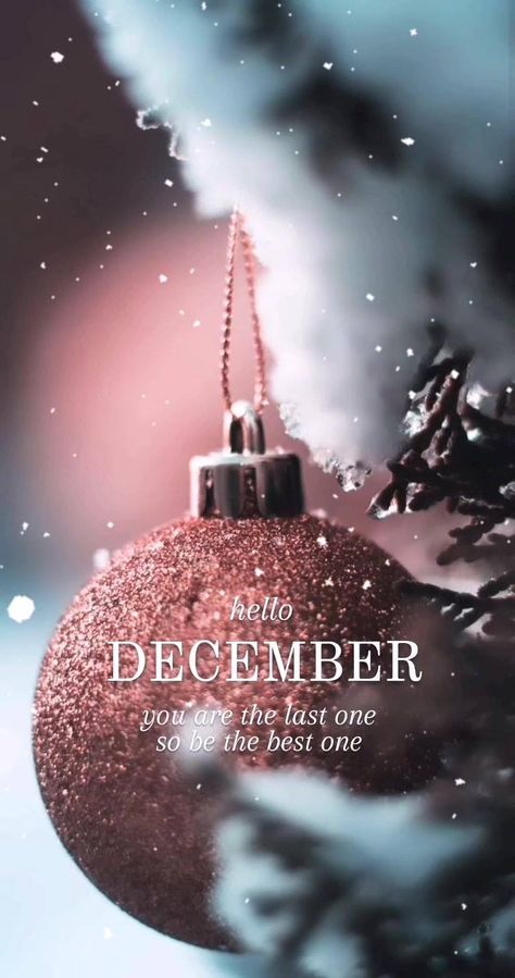 Welcome December Wallpaper, December Bookings Available, Welcome December Images, Hallo December, December Hello, Hello December Images, December Vibes, Welcome To December, Its December