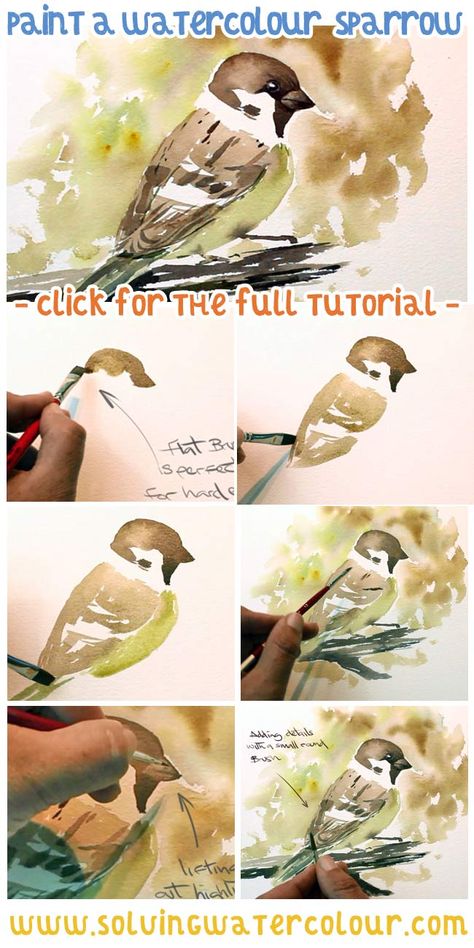 Watercolor Birds Paintings Simple, How To Paint Birds In Watercolor, Watercolor Birds Tutorial Step By Step How To Paint, Watercolor Sparrow, Birds Sparrow, Watercolor Birds Tutorial, Watercolour Birds, Loose Watercolour, Bird Painting Acrylic