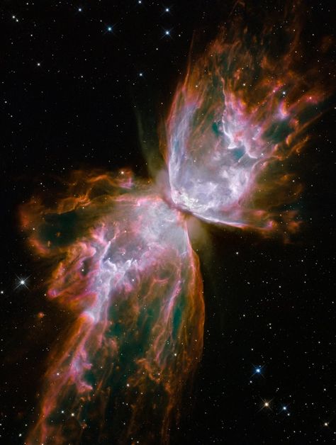 Butterfly Nebula, Hubble Space Telescope Pictures, Hubble Space Telescope Images, Supernova Explosion, Planetary Nebula, Helix Nebula, Nasa Hubble, Carina Nebula, Hubble Images