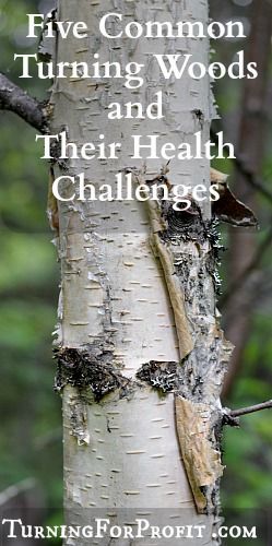 Health Challenges Woodworking Business Ideas, Woodturning Tools, Woodworking Store, Wood Turning Lathe, Health Challenges, Lathe Projects, Wood Turner, Lathe Tools, Learn Woodworking