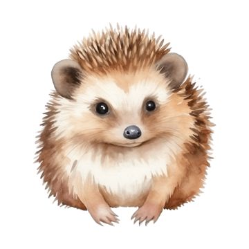 hedgehog,porcupine,watercolor,cute,animal,pet,zoo,wildlife,winter,cozy,character,baby,clip-art,cartoon,children,kid,jungle,forest,nature,holiday,flower,tree,red,green,paint,hand,foliage,plant,pink,black Porcupine Painting, Hedgehog Painting, Hedgehog Watercolor, Watercolor Hedgehog, Hedgehog Animal, Jungle Forest, Flower Tree, Cute Watercolor, Holiday Flower