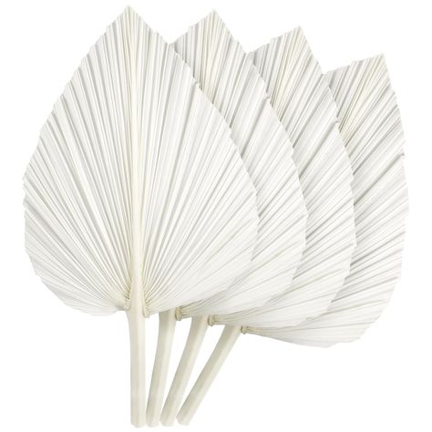 White Palm Leaves, Feather Baby Shower Ideas, Dried Palm Leaves, Pampas Grass Decor, Bohemian Theme, Natural Boho, Beach Wedding Decorations, Baby Shower Backdrop, Theme Party Decorations