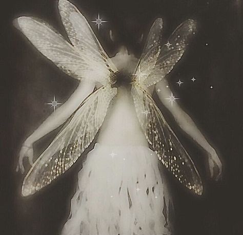 Fairy Aesthetic Dark, Tooth Fairy Costumes, Faerie Core, Fairy Core Aesthetic, Fairy Grunge Aesthetic, Dark Fairycore, Fairy Wallpaper, Moon Fairy, Manic Pixie Dream Girl