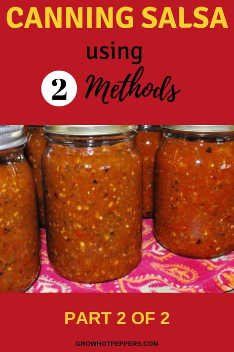 Pressure Canner Salsa Recipes, Pressure Can Salsa Recipe, Salsa Canning Recipes Spicy, Canning Salsa Without Vinegar, Blender Salsa For Canning, Zesty Salsa For Canning, Pressure Canning Salsa Recipes, Canning Smoked Salsa, Smoked Salsa Recipe Canning