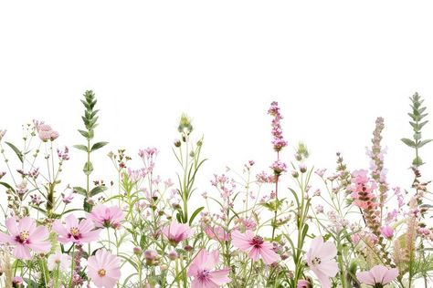 Delicate pink wildflower border | premium image by rawpixel.com / Ning Notion Aesthetic Pictures Horizontal, Cute Wallpapers Aesthetic Horizontal, Hot Air Balloon Drawing, Wildflower Border, Notion Pics, Balloon Drawing, Pink Wildflowers, Background Border, Hawaii Flowers