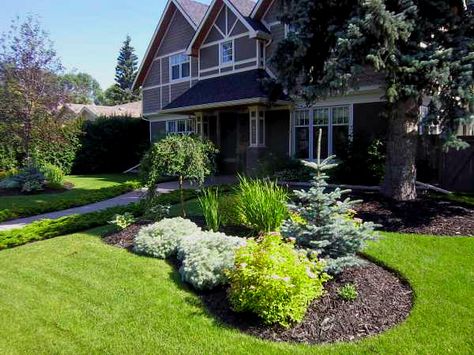 Land Scapes, Side Yard Landscaping, Sloped Yard, Front Garden Landscape, Front Yard Design, Yard Landscape, Front Landscaping, Low Maintenance Landscaping, Large Tree