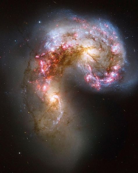 The Antennae Galaxies 💜 Located 60 million light-years away, galaxies NGC 4038 and NGC 4039 are in the process of colliding, creating a spectacular cosmic display. 🌌 Follow @thegalacticvoid for more stunning space phenomena! ✨ Light Year, The Process, Quick Saves