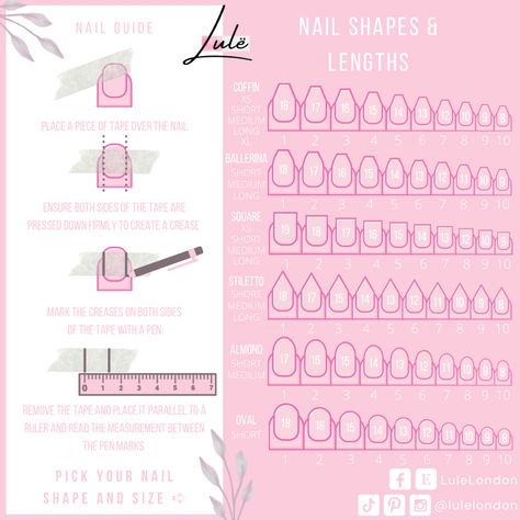 Nails Template, Nail Structure, Nail Theory, Nail Guide, Gel Press On Nails, Short Almond Nails, Plain Nails, Gel Press, Almond Nail