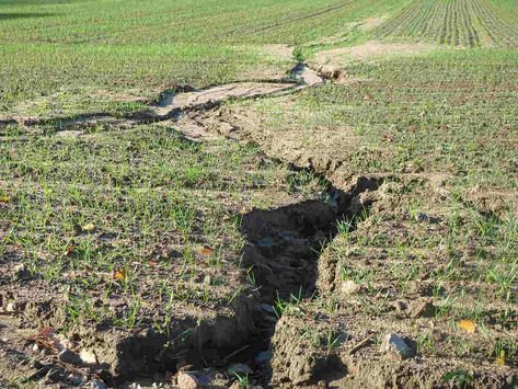 Soil Erosion, French Drain, Relaxing Space, Erosion Control, Drip Irrigation System, Rock Gardens, Soil Layers, Dry Creek, Rain Garden