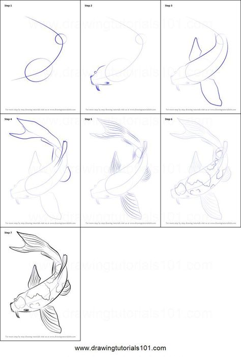 How To Draw A Goldfish Step By Step, Coi Drawings, Intermediate Art Ideas, How To Paint A Koi Fish, Fish Tutorial Drawing, How To Paint Koi Fish Step By Step, Coi Fish Sketches, Koi Fish Drawing Step By Step, How To Draw Goldfish