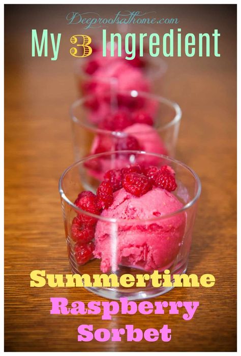 Raspberries Recipes Healthy, How To Use Up Frozen Raspberries, Healthy Desserts With Raspberries, Raspberry Slushie Recipe, What To Do With Frozen Raspberries, What To Do With Mushy Raspberries, Canned Raspberry Recipes, Healthy Recipes With Raspberries, Frozen Raspberry Recipes Healthy