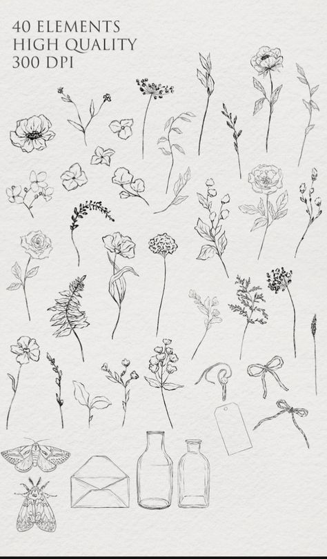 Wildflower Drawing, Calligraphy Tutorial, Field Flowers, Minimalist Drawing, Flower Art Drawing, Floral Drawing, Sketches Simple, Small Tattoo Designs, Floral Elements