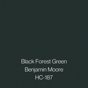 Dark Green Exterior Paint Colors For House, Green Moody Paint Colors, Black Green Paint Colors Behr, Deep Green Black Paint, Dark Evergreen Paint, Dark Green Paint Colors Benjamin Moore, Rich Dark Green Paint Colors, Dark Green Paint Swatch, Dark Forest Green Bathroom