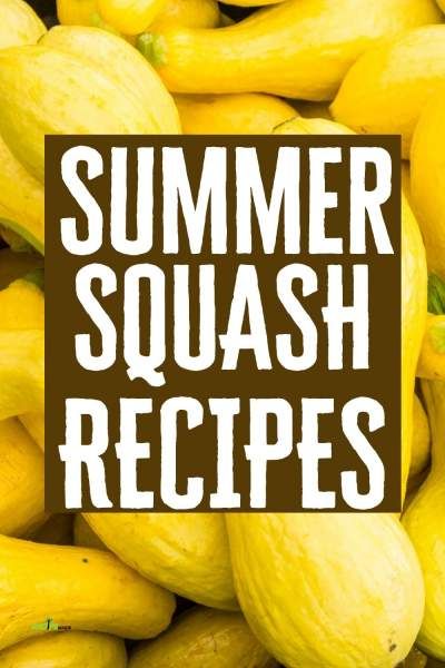 Summer Squash Recipes Healthy, Easy Yellow Squash Recipes, Yellow Zucchini Recipes, Crookneck Squash Recipes, Baked Yellow Squash, Baked Summer Squash, Cooking Yellow Squash, Yellow Squash Soup, Healthy Squash Recipes