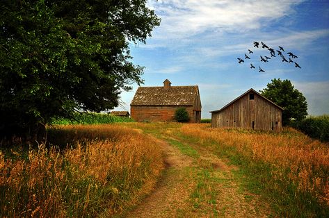 Iowa - sights like this one are very familiar in our part of Iowa! Iowa Farms, 2k Wallpaper, Farm Barn, Dirt Road, Vintage Farm, A Barn, Old Barns, Old Barn, Beautiful Places To Visit