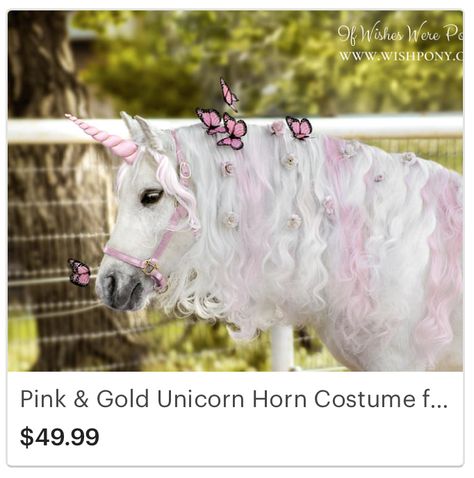 If Wishes Were Ponies unicorn horns Unicorn Horse Costume, Pony Costumes, Horns Costume, Unicorn Photo, Unicorn Horns, Mini Photo Shoot, Unicorn Pumpkin, Pine Hill, Majestic Unicorn