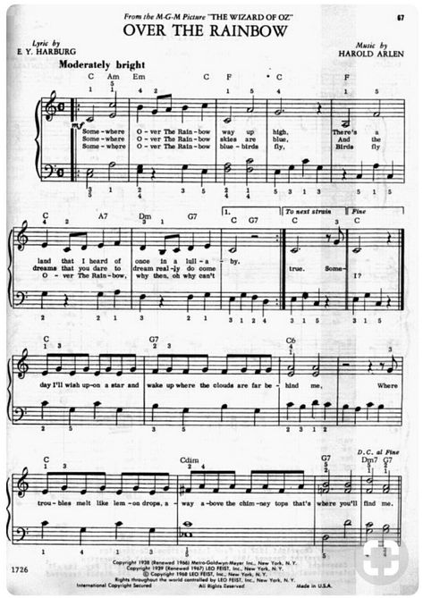 Piano Sheet Music Beginners, Popular Piano Sheet Music, Piano Songs Sheet Music, Music Theory Piano, Piano Lessons For Beginners, Accordion Music, Hymn Sheet Music, Piano Music Lessons, Flute Sheet Music