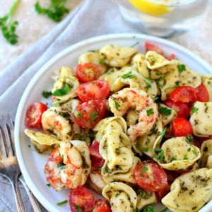 Salad With Shrimp Recipes, Shrimp Tortellini Salad, Shrimp Tortellini, Salad With Shrimp, Pesto Shrimp, Pesto Tortellini, Pasta Salad With Tortellini, Tortellini Recipes, Tortellini Pasta