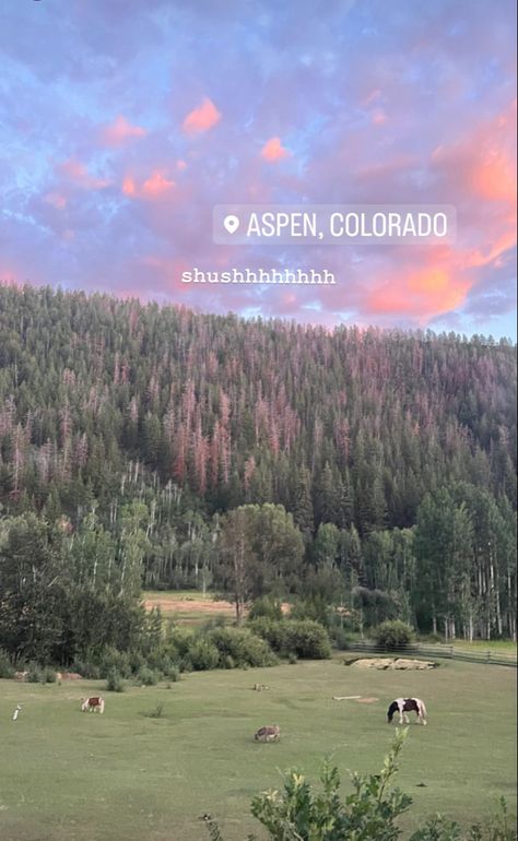 Aspen Colorado Aesthetic, Colorado Aesthetic, Colorado Summer, Living In Colorado, Adventure Aesthetic, Aspen Colorado, Aesthetic Sunset, Colorado Travel, Future Travel