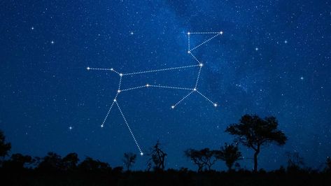 Canis Major Constellation, Sirian Starseed, Sirius B, Canis Major, Sirius Star, Binary Star, Ursa Major, Star Constellations, Star System