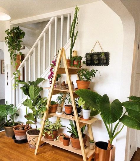 Repurposed Ladders, Patio Flower Pots, Ladder Planter, Ladder Plant Stand, Ladder Ideas, Plant Ladder, Wooden Plant Pots, Plant Display Ideas, Indoor Home Decor