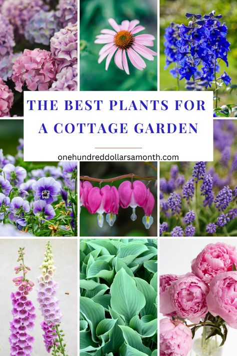 The Best Plants for a Cottage Garden - One Hundred Dollars a Month Cottage Garden Plan, Garden Design Inspiration, English Flower Garden, Garden On A Budget, Cottage Garden Borders, Flower Garden Layouts, Small Flower Gardens, Flower Garden Plans, English Garden Design