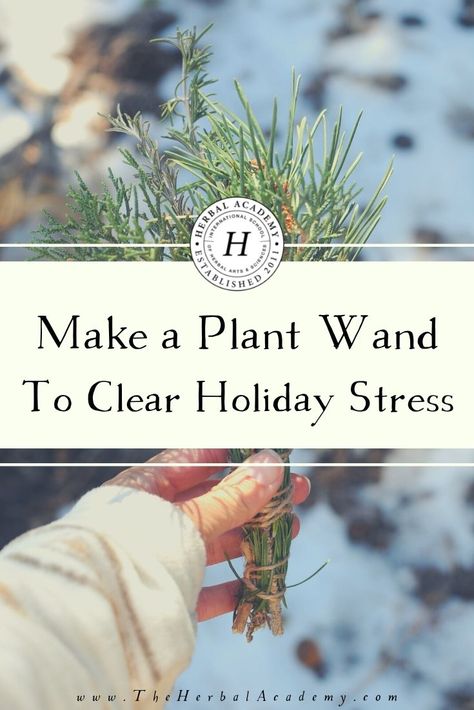 This holiday season, step out into nature and find these herbs to make your own plant wand and keep holiday stress at bay. Herbal Magic, Mood Enhancers, Meditation Crystals, Yule Decorations, Winter Solstice, Medicinal Herbs, Holiday Inspiration, Crafty Diy, Herbal Remedies