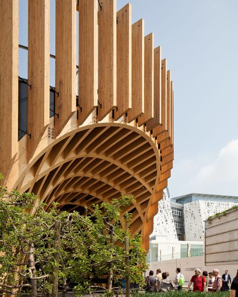 XTU architects, Andrea Bosio · French Pavilion - Expo Milano 2015 Expo Pavilion, Wooden Lattice, Parking Building, Lattice Structure, College Architecture, Architecture Portfolio Design, Pavilion Design, Timber Buildings, Parametric Architecture