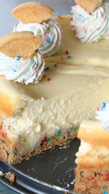 Sugar Cookie Cheesecake Simple Cheesecake, Sugar Cookie Cheesecake, Cookie Cheesecake, Savory Cakes, Salty Cake, Cheesecake Cookies, Easy Cheesecake, Pumpkin Cake, Savoury Cake